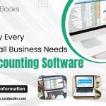 Why Every Small Business Needs Accounting Software