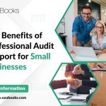 Audit Support