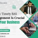 BAS lodgement services